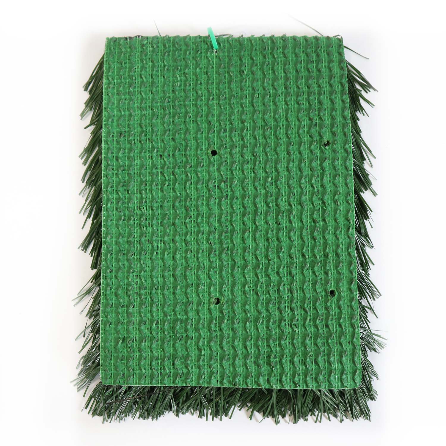 Sports Turf Lnternational 5 Sports Turf Lnternational 5