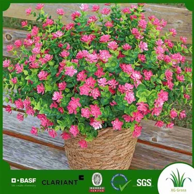 極楽鳥の人工植物