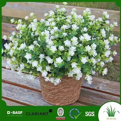 人工ポインセチア植物