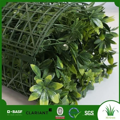 家の中の植物の壁