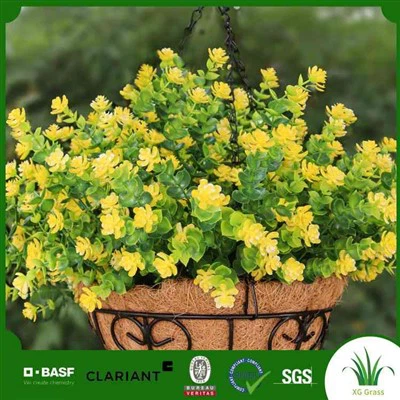 シルクアジサイ