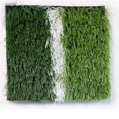 サッカー場の芝