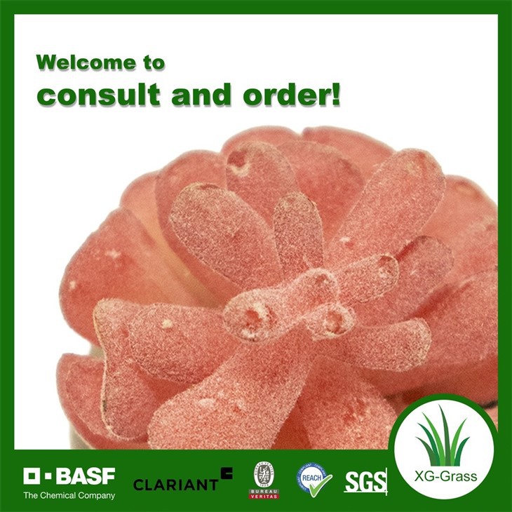 Xingu Lifelike Red Artificial Succulent Plant For Home Decor manufacturers